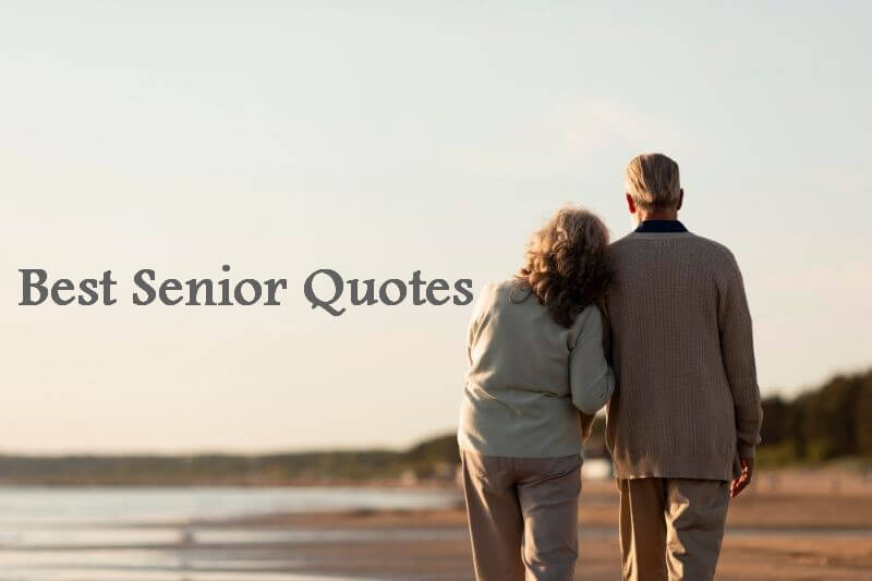 Best Senior Quotes