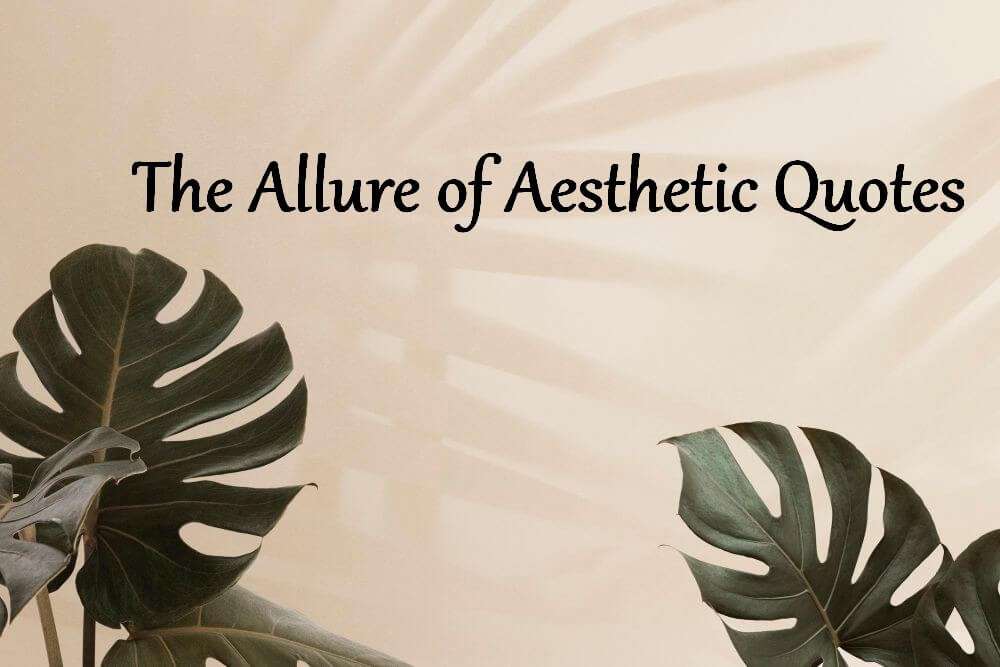The Allure of Aesthetic Quotes