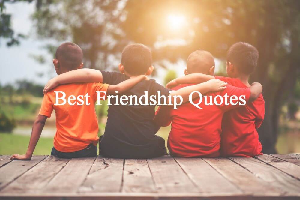 The Best Friendship Quotes