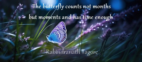 The butterfly counts not months but moments and has time enough