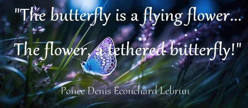 The butterfly is a flying flower... The flower, a tethered butterfly!